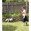 Primal Pet Gear Dog Leash 6ft Long,Traffic Padded Two Handle,Heavy