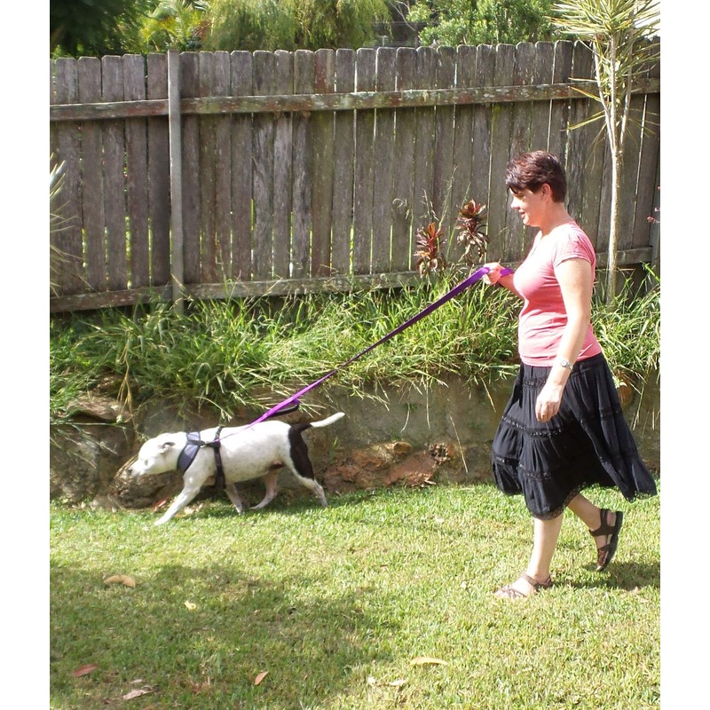 Primal Pet Gear Dog Leash 6ft Long,Traffic Padded Two Handle,Heavy
