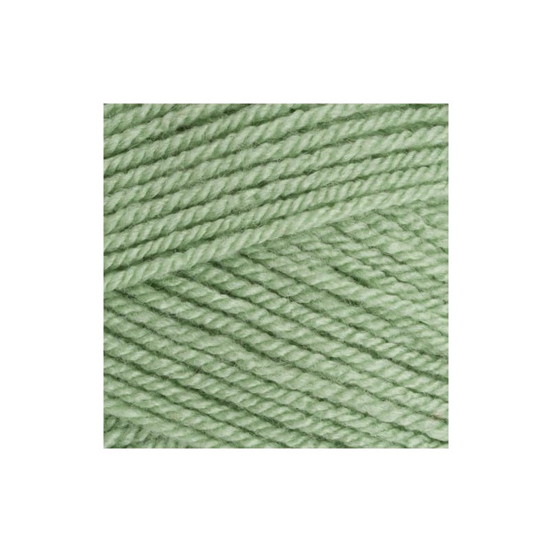 Stylecraft Special DK Yarn - Lincoln (1834)