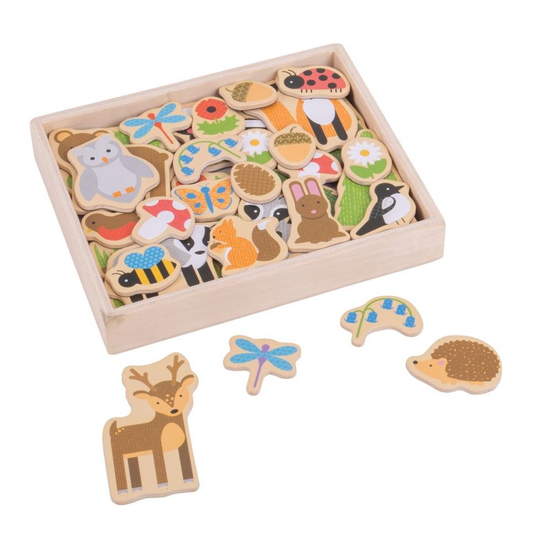 Bigjigs Toys Wooden Woodland Magnets - 35 Magnets