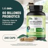 LIFE 360 Probióticos 60 Billones 4 Cepas 240 cápsulas 540mg
