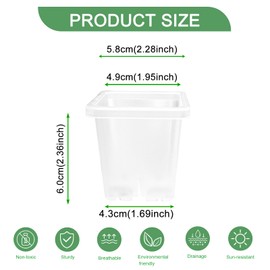 Gyfofix 2 Inch Square Plant Nursery Pots (Black+Clear),50Pcs Seedling Planter Seed Starter Pots,Sturdy Small Plastic Pots with Drainage Holes