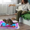 QSCFKL 2 Pack Water Sensory Play Mat for Cat, Upgraded