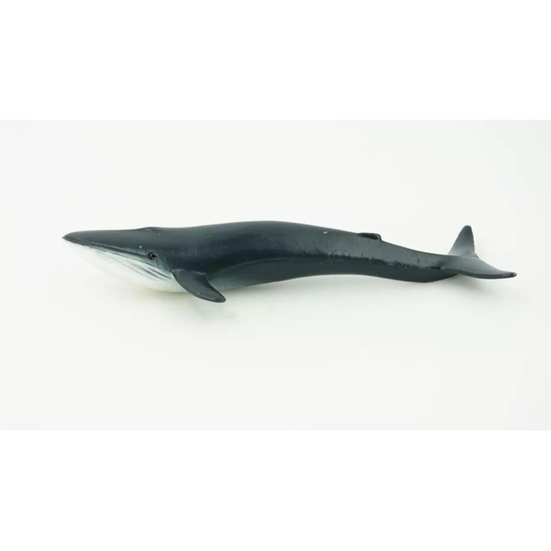 Unbranded Blue Whale Realistic Toy Ocean Figurine, Model, Replica, 4"