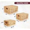 Chi An Home Wicker Storage Baskets with Lids (Open weave)