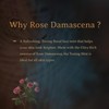 Kaumudi Floral Face Mist Rose Damascena