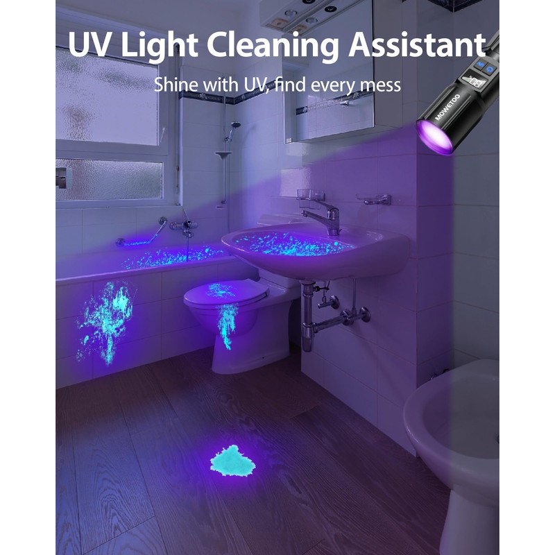 Black Light Flashlight, UV Light USB C Rechargeable with LCD