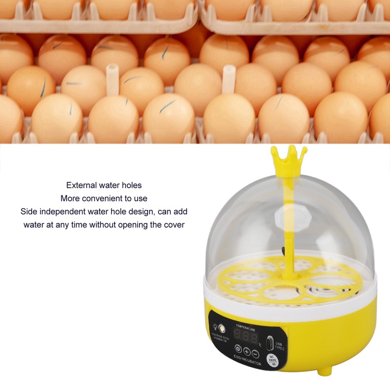 Mini Egg Incubator for Home Automatic Temperature Humidity Control 4