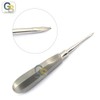 G.S Dental Root TIP Pick Straight, Best Quality