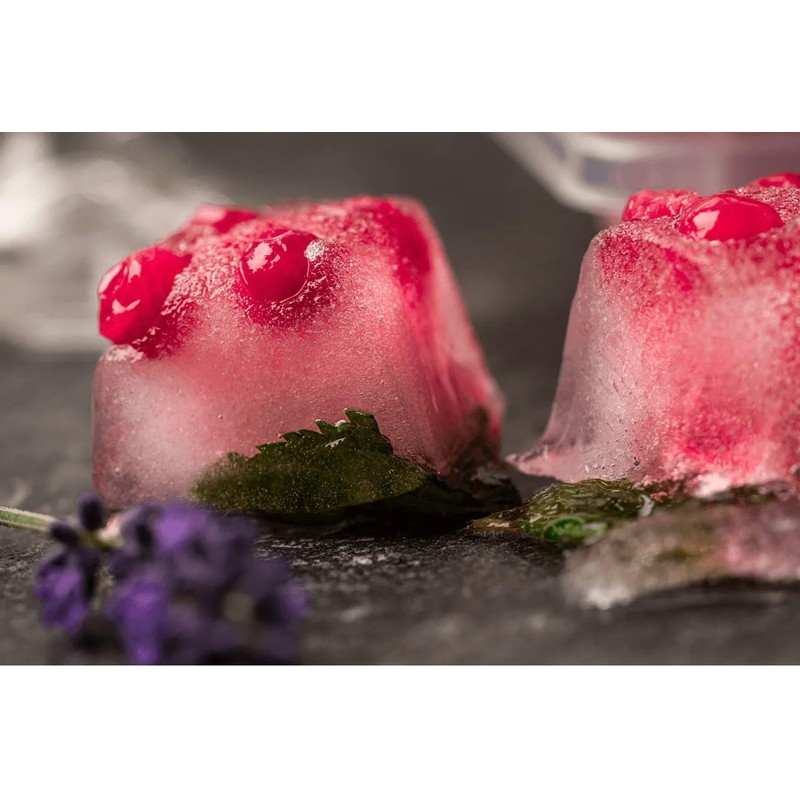 SALLYS Ice Cube Tray - Holds up to 12 Cubes