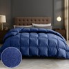 DAICO Goose Feather Down Comforter Queen Size, All Season Luxury