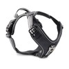 Wolters Active Pro Harness, Size: 80-95 cm, Colour: Black/Black