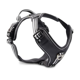 Wolters Active Pro Harness, Size: 80-95 cm, Colour: Black/Black