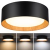 Flush Mount Ceiling Light, 13in 250W Equivalent LED Ceiling Light