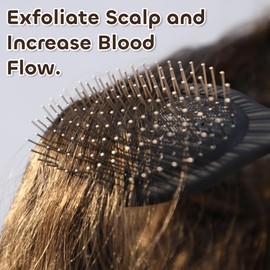 WeiLa Anti-Static Hair Brush Oval, Stainless-Steel Bristles Detangler for Wigs & Hair, ABS Handle (Pink, Regular)