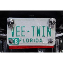 V-Twin 48-1625 Silver Skull License Plate Bolt Set