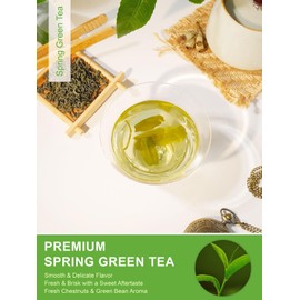 TeeLux Green Tea Loose leaf, Premium Early Spring Green Tea, Fresh & Mellow Taste, Handpicked Young Leaves & Buds, 16oz