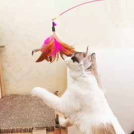 YUNYAN Interaktives Kätzchenspielzeug 10 Stück Interaktive Katzenspielzeug mit Federn mit Glocken Quasten Girlanden Anhänger mit Glocke Ersatzfedern Katzenspielzeug für Katzen