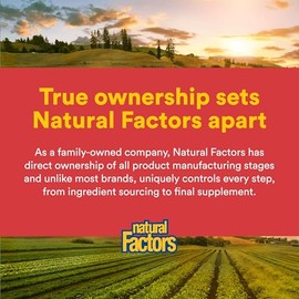 Natural Factors - Rutin 250mg, A Citrus Bioflavinoid, 90 Capsules