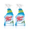 Glass Plus Glass Cleaner, 32 fl oz Bottle, Multi-Surface Glass