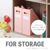 Sekisei Climax Box Desk File Organizer