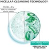 Garnier SkinActive Micellar Water with Hyaluronic Acid, Facial Cleanser Makeup