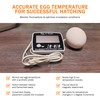 Incubator Warehouse Egg-O-Meter - Large Digital Display Egg Thermometer with