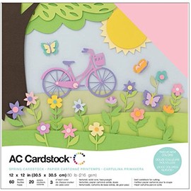 American Crafts Spring Cardstock, 12", 12 by 12"