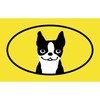 CafePress Boston Terrier Smile Oval Car Bumper Sticker
