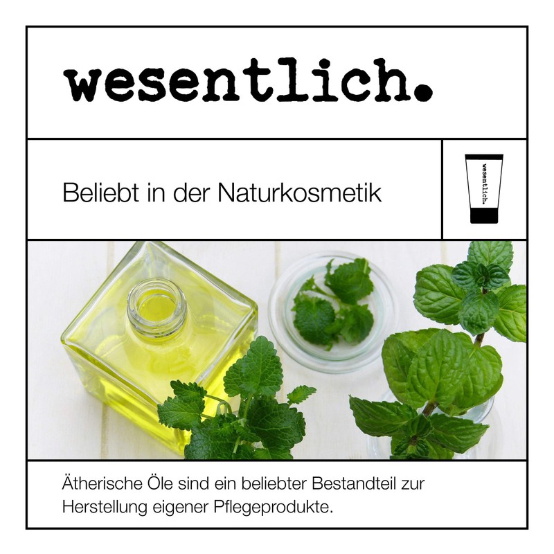 Essential Oils Set No. 3 (Basic Fragrances) of wesentlich. Oregano,