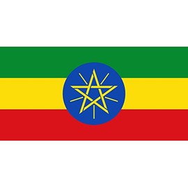 Ethiopia 2'x3' Polyester Flag