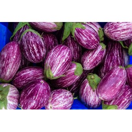 Fairy Tale F1 Eggplant Seeds - Non-GMO - 10 Seeds