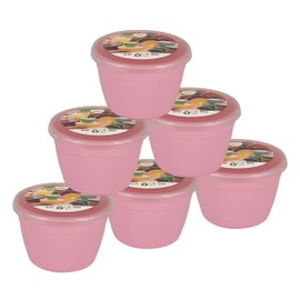 Just Pudding Basins Pastel Colours 1/4 Pint Small Basin and Clear Lid 0.25pt Pack of 6 Plastic Steaming Bowls (Pink)