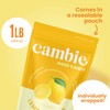 Cambie Lemon Drops Hard Candy - 1 Pound of Classic
