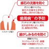 ジェクス 【まとめ買い】ラクレッシュ EX 薬用ハミガキジェル 80g×6個セット 医薬部外品 ホワイトニング効果 知覚過敏緩和 歯周病 高濃度フッ素配合
