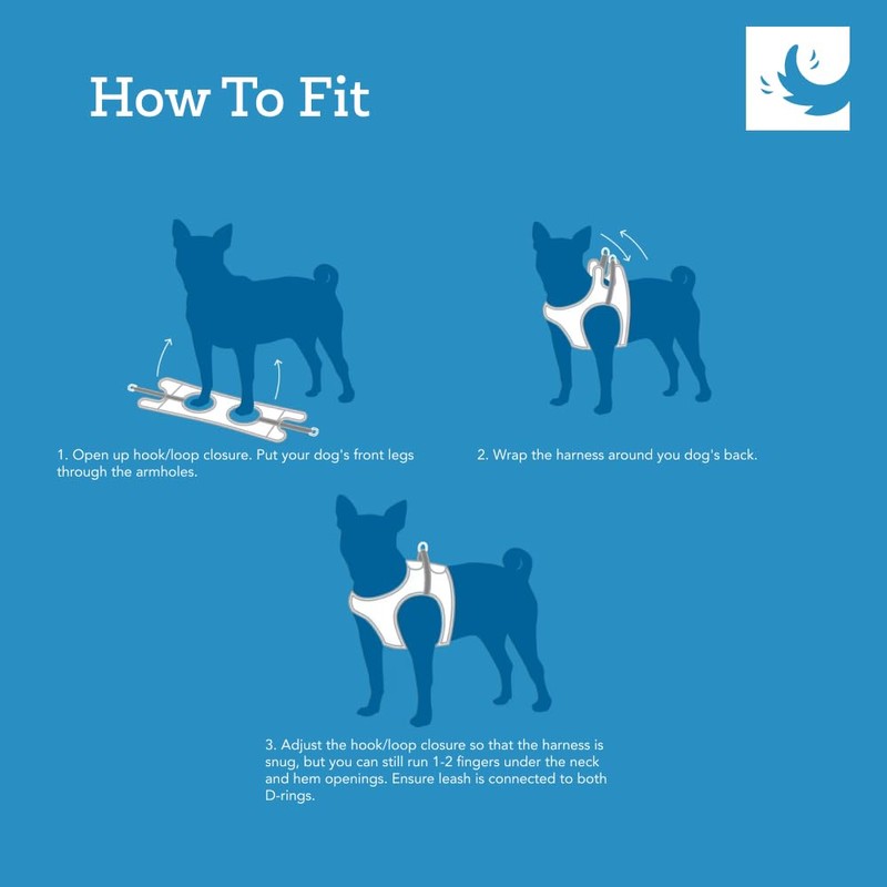 RC Pet Products Step in Cirque Soft Walking Dog Harness,