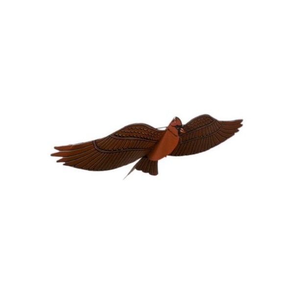 Jackite Assembled Cardinal Bird Kite, Wind Sock
