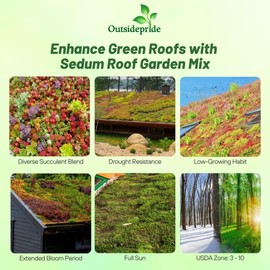 Outsidepride Roof Garden Sedum Seeds - 5000 Pcs Perennial Ground Cover Seeds for Planting, Cold-Hardy & Heat-Tolerant Succulent Plants, Ideal for Rock Gardens, Containers, and Xeriscaping