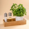bremermann Bamboo Storage Box 30 x 7.5 x 15 cm