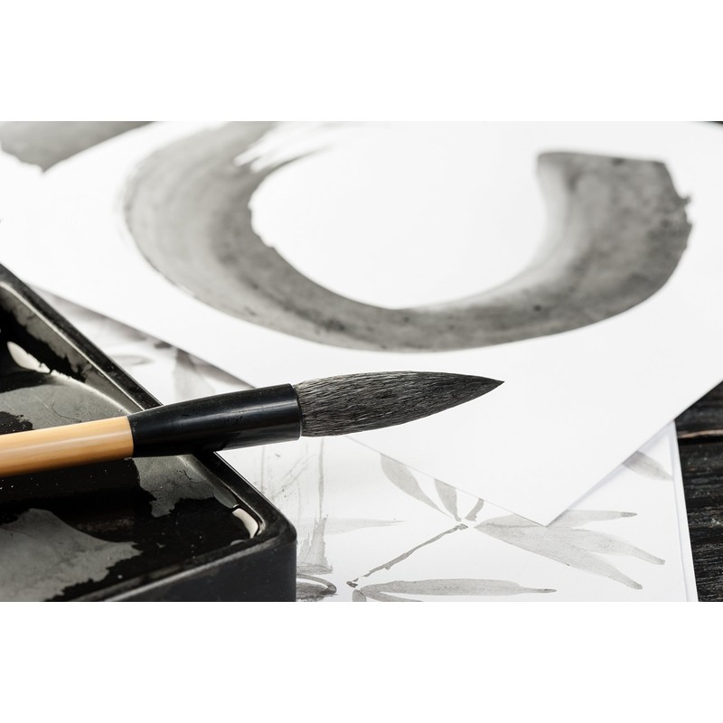 Clairefontaine 96340C Folder Watercolour Paper Ideal for Wet Techniques 300