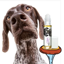 THE BLISSFUL DOG® INC. German Shorthair Pointer Relax Aromatherapy | Calms Your Anxious, Stressed Dog - ROLL-ON