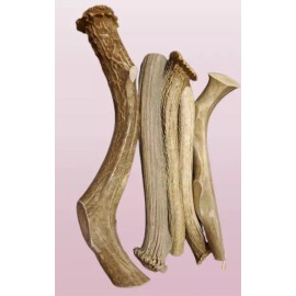 KaJo Pets Naturally Shed DEER Antlers Premium Dog Chews Clean JUMBO Size 10-14" Long  USA - 4 Antlers