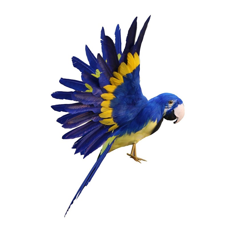 Sharplace VARIOUS Decoration Wire Christmas Model Artificial Birds Feathered, Parrot