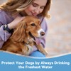 32 Pack Dog Water Filters for 13L/3.4Gal & 16L/4.2Gal Dog