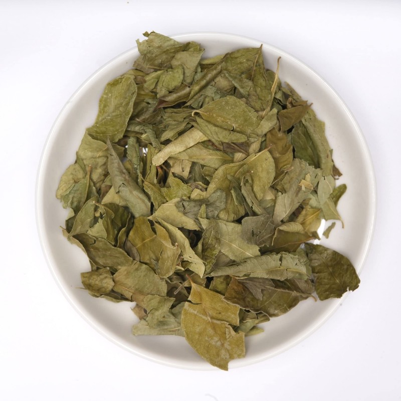 Curry Leaf 0.7 oz (20 g) Curry Leaf Curry Patta