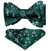 HISDERN Mens Green Bow Tie Set Wedding Floral Selt Tie