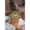 Daichi Farm DO032052-000 Dried Flowers, Immortel, Natural Yellow, Large, Approx.