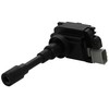 Delphi GN10318-12B1 Ignition Coil