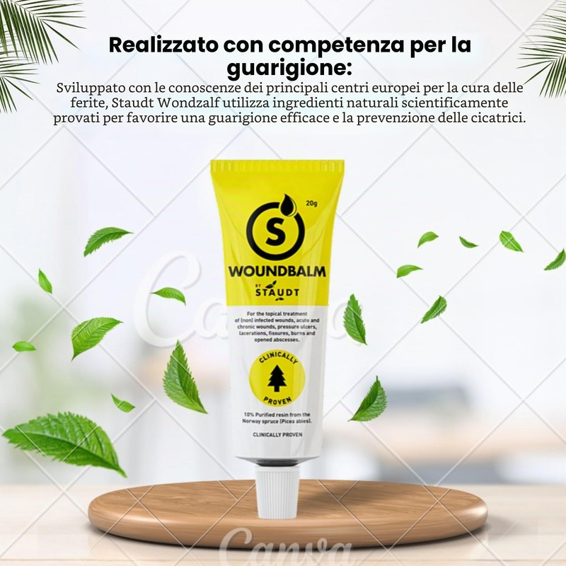 Staudt Unguento per ferite, 20 G