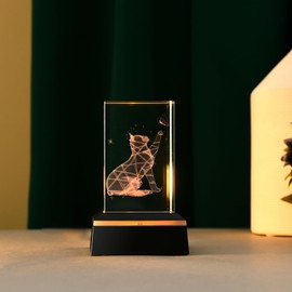 IFOLAINA Luminous Coaster LED Pedestal Rainbow Herbarium Light Coaster Display Stand Light Up Pedestal Illuminated Crystal Ball Stage for Home Office Decoration Mother Friend Birthday Gift